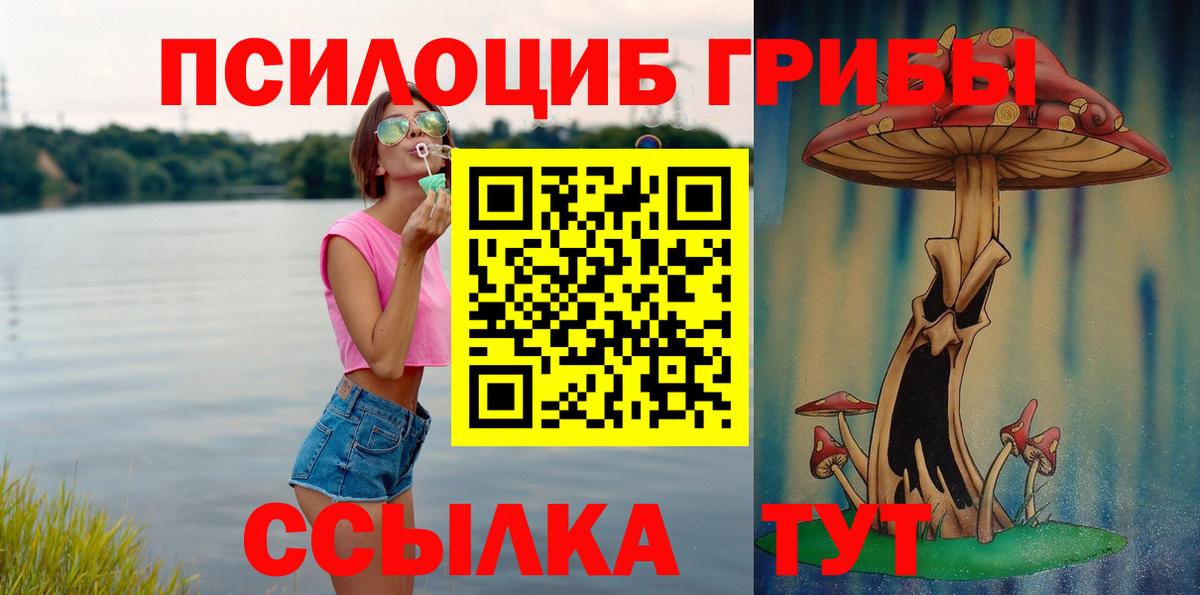 Галлюциногенные грибы мицелий  Галлюциногенные грибы MAGIC MUSHROOMS  Алексин  Вход с VPN 